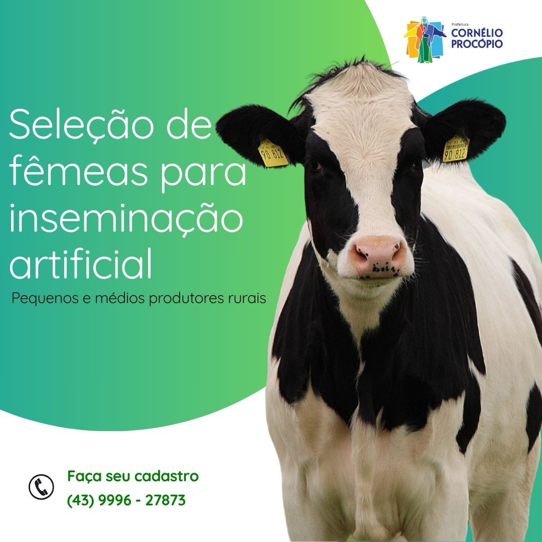 57a3dbc5-1e4a-41e2-ae32-edc9a2cd3a83.jpg