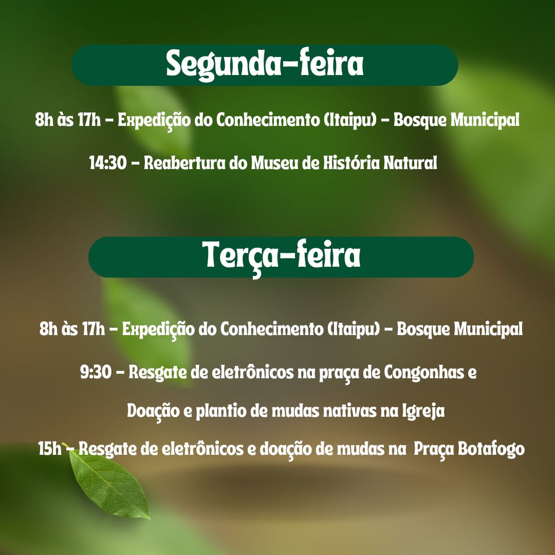 68bf2f33-3ee9-42cc-a348-07378ff95afa.jpg